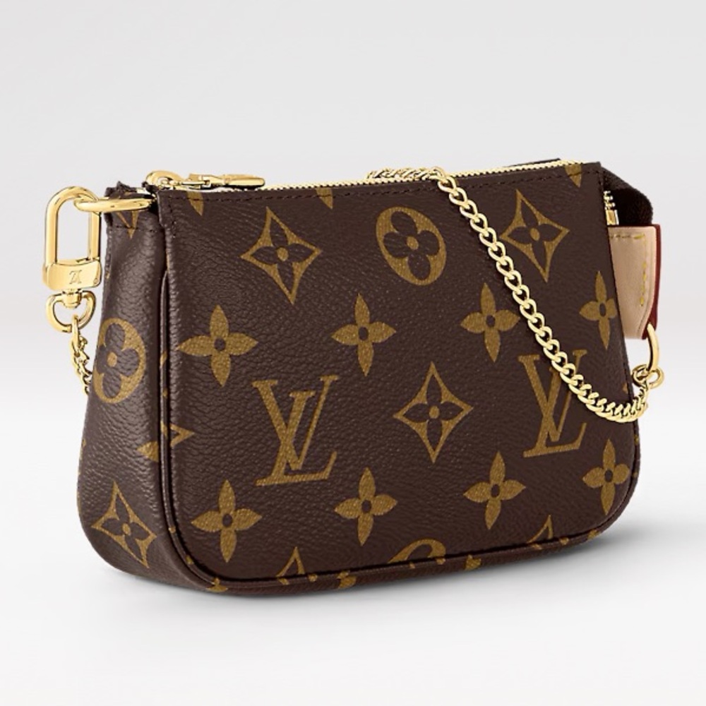 Louis Vuitton monogram Mini pouchette